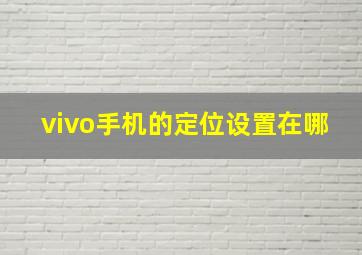 vivo手机的定位设置在哪