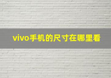 vivo手机的尺寸在哪里看