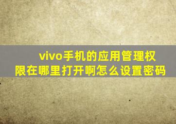 vivo手机的应用管理权限在哪里打开啊怎么设置密码