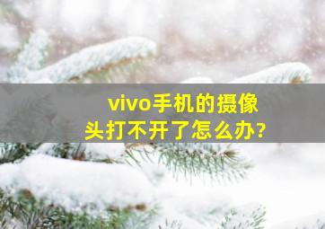 vivo手机的摄像头打不开了怎么办?