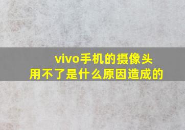 vivo手机的摄像头用不了是什么原因造成的