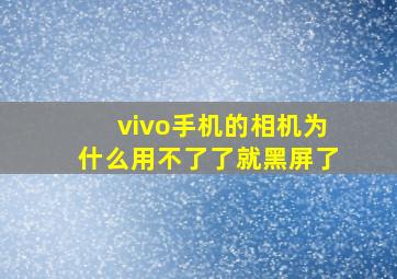 vivo手机的相机为什么用不了了就黑屏了