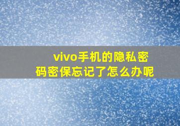 vivo手机的隐私密码密保忘记了怎么办呢