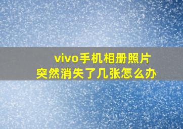 vivo手机相册照片突然消失了几张怎么办