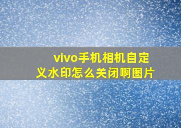 vivo手机相机自定义水印怎么关闭啊图片