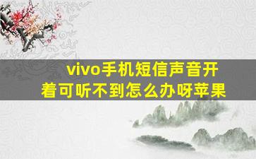 vivo手机短信声音开着可听不到怎么办呀苹果