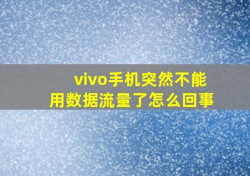 vivo手机突然不能用数据流量了怎么回事