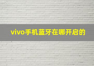 vivo手机蓝牙在哪开启的