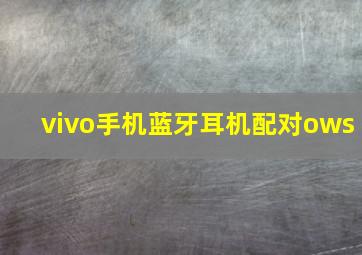 vivo手机蓝牙耳机配对ows