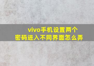 vivo手机设置两个密码进入不同界面怎么弄