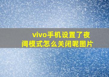 vivo手机设置了夜间模式怎么关闭呢图片