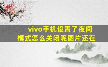 vivo手机设置了夜间模式怎么关闭呢图片还在