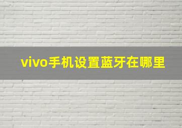 vivo手机设置蓝牙在哪里