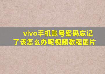 vivo手机账号密码忘记了该怎么办呢视频教程图片