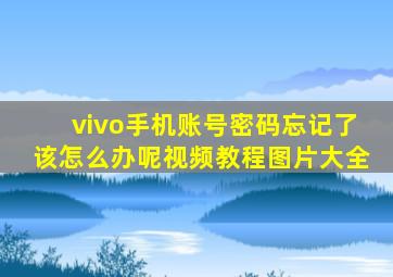 vivo手机账号密码忘记了该怎么办呢视频教程图片大全