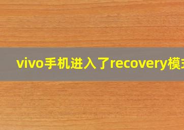 vivo手机进入了recovery模式