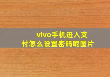 vivo手机进入支付怎么设置密码呢图片