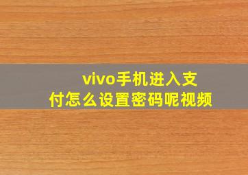 vivo手机进入支付怎么设置密码呢视频