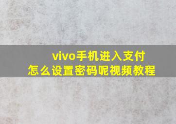 vivo手机进入支付怎么设置密码呢视频教程