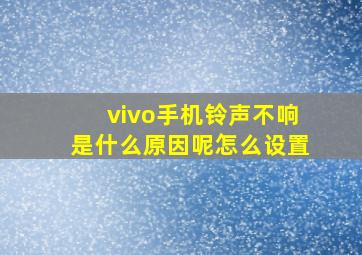 vivo手机铃声不响是什么原因呢怎么设置