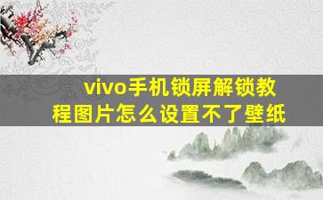 vivo手机锁屏解锁教程图片怎么设置不了壁纸