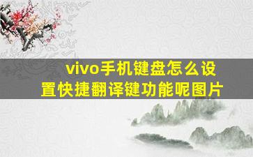 vivo手机键盘怎么设置快捷翻译键功能呢图片