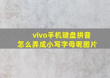 vivo手机键盘拼音怎么弄成小写字母呢图片