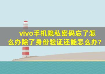 vivo手机隐私密码忘了怎么办除了身份验证还能怎么办?