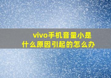 vivo手机音量小是什么原因引起的怎么办