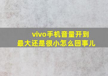 vivo手机音量开到最大还是很小怎么回事儿