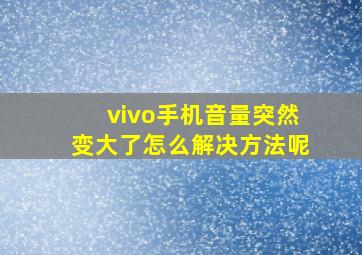 vivo手机音量突然变大了怎么解决方法呢