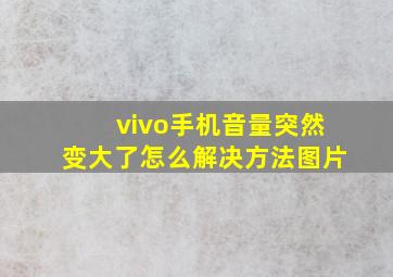 vivo手机音量突然变大了怎么解决方法图片