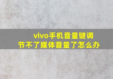 vivo手机音量键调节不了媒体音量了怎么办