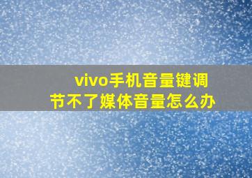 vivo手机音量键调节不了媒体音量怎么办