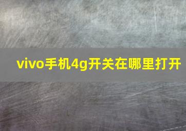 vivo手机4g开关在哪里打开