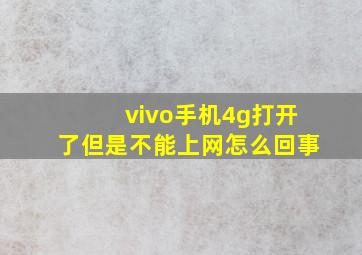 vivo手机4g打开了但是不能上网怎么回事