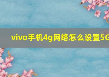 vivo手机4g网络怎么设置5G