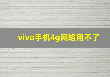 vivo手机4g网络用不了