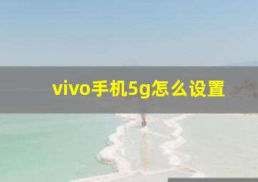 vivo手机5g怎么设置