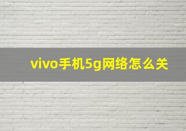 vivo手机5g网络怎么关