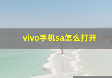 vivo手机sa怎么打开