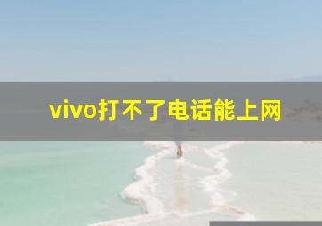 vivo打不了电话能上网