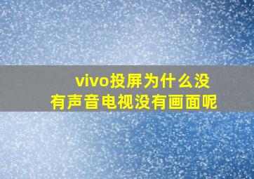 vivo投屏为什么没有声音电视没有画面呢