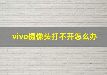 vivo摄像头打不开怎么办