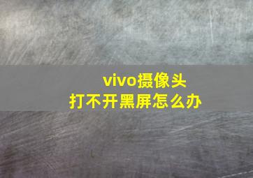 vivo摄像头打不开黑屏怎么办