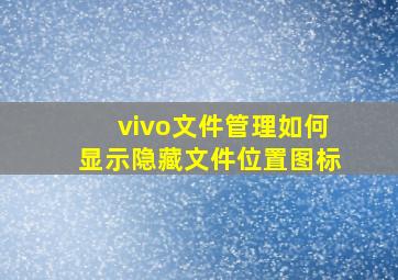 vivo文件管理如何显示隐藏文件位置图标