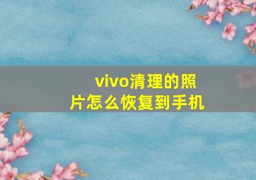 vivo清理的照片怎么恢复到手机