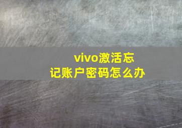 vivo激活忘记账户密码怎么办