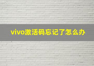 vivo激活码忘记了怎么办