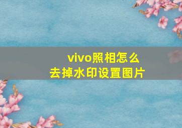 vivo照相怎么去掉水印设置图片